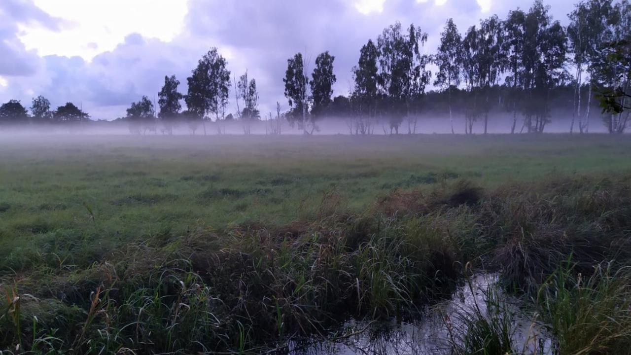 Slowinskie Widoki Domki Flora, Fauna, Noclegi Smoldziński Las Bagian luar foto