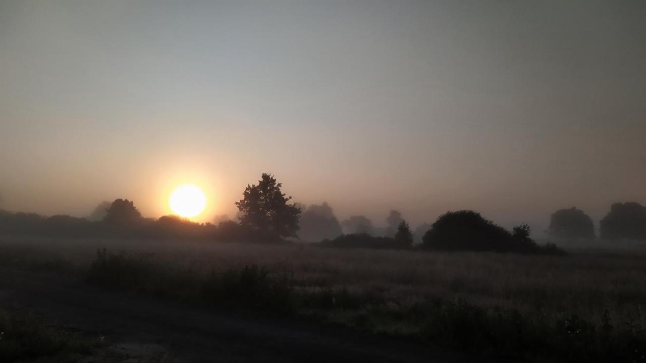 Slowinskie Widoki Domki Flora, Fauna, Noclegi Smoldziński Las Bagian luar foto