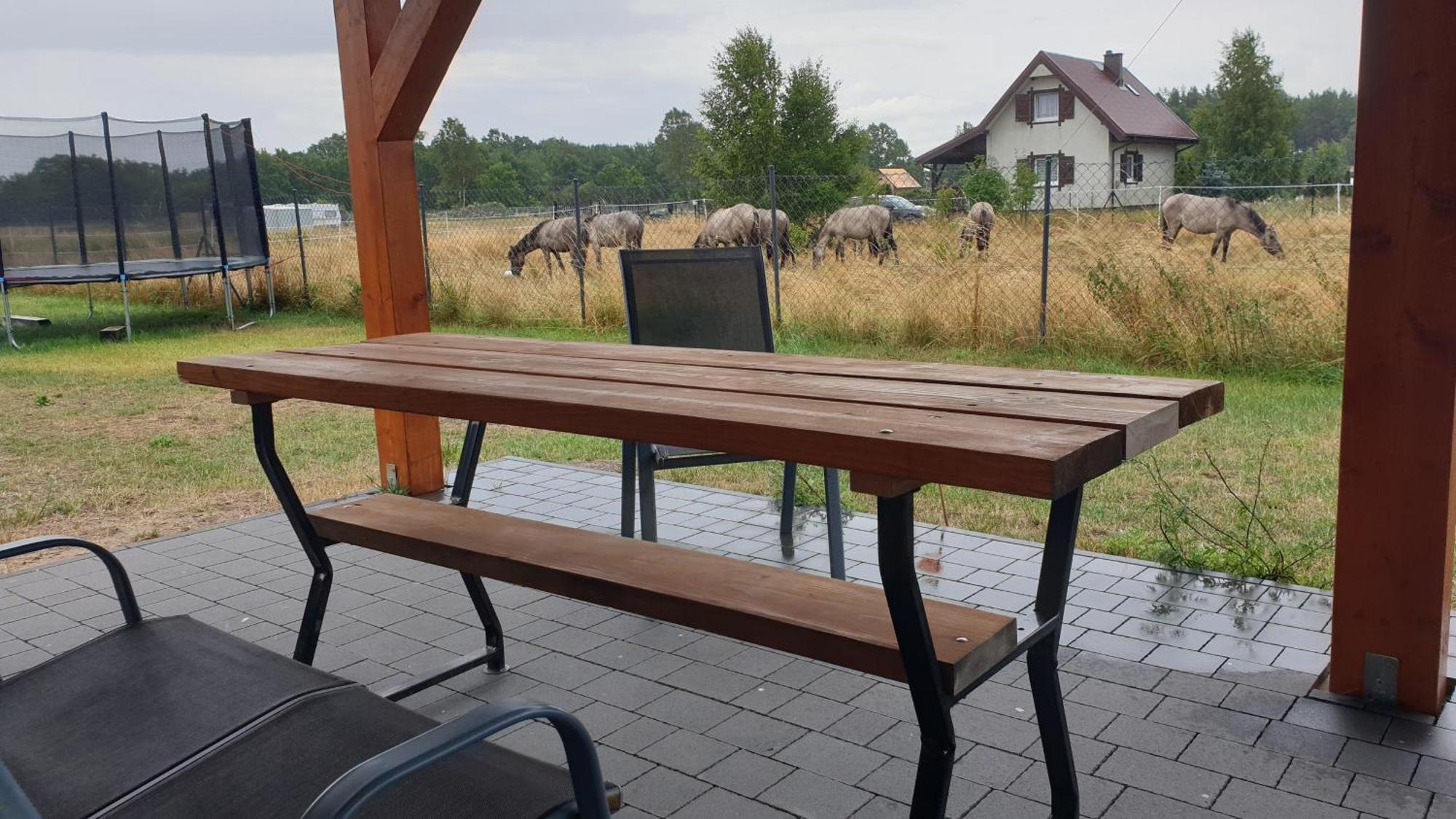 Slowinskie Widoki Domki Flora, Fauna, Noclegi Smoldziński Las Bagian luar foto