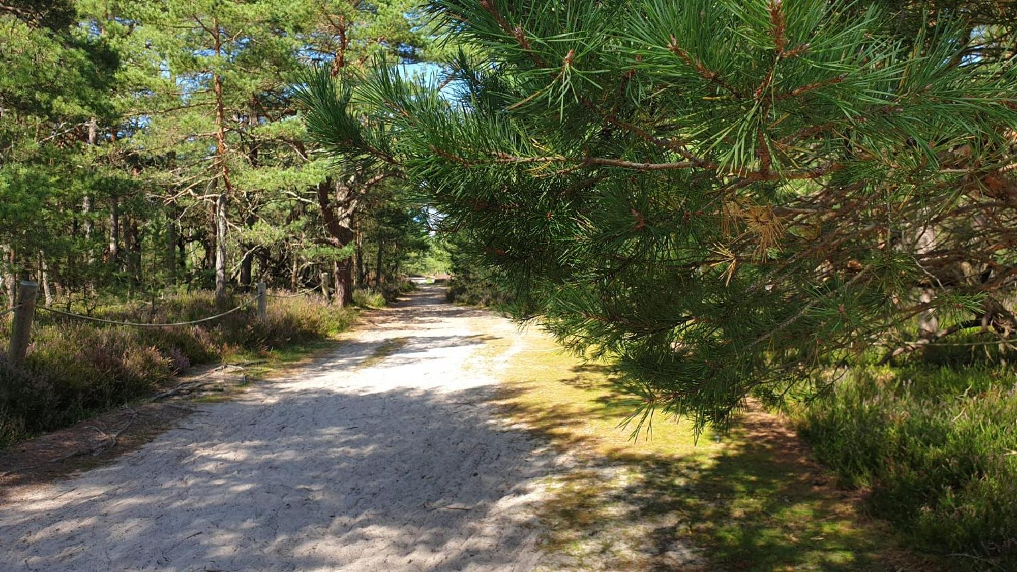 Slowinskie Widoki Domki Flora, Fauna, Noclegi Smoldziński Las Bagian luar foto