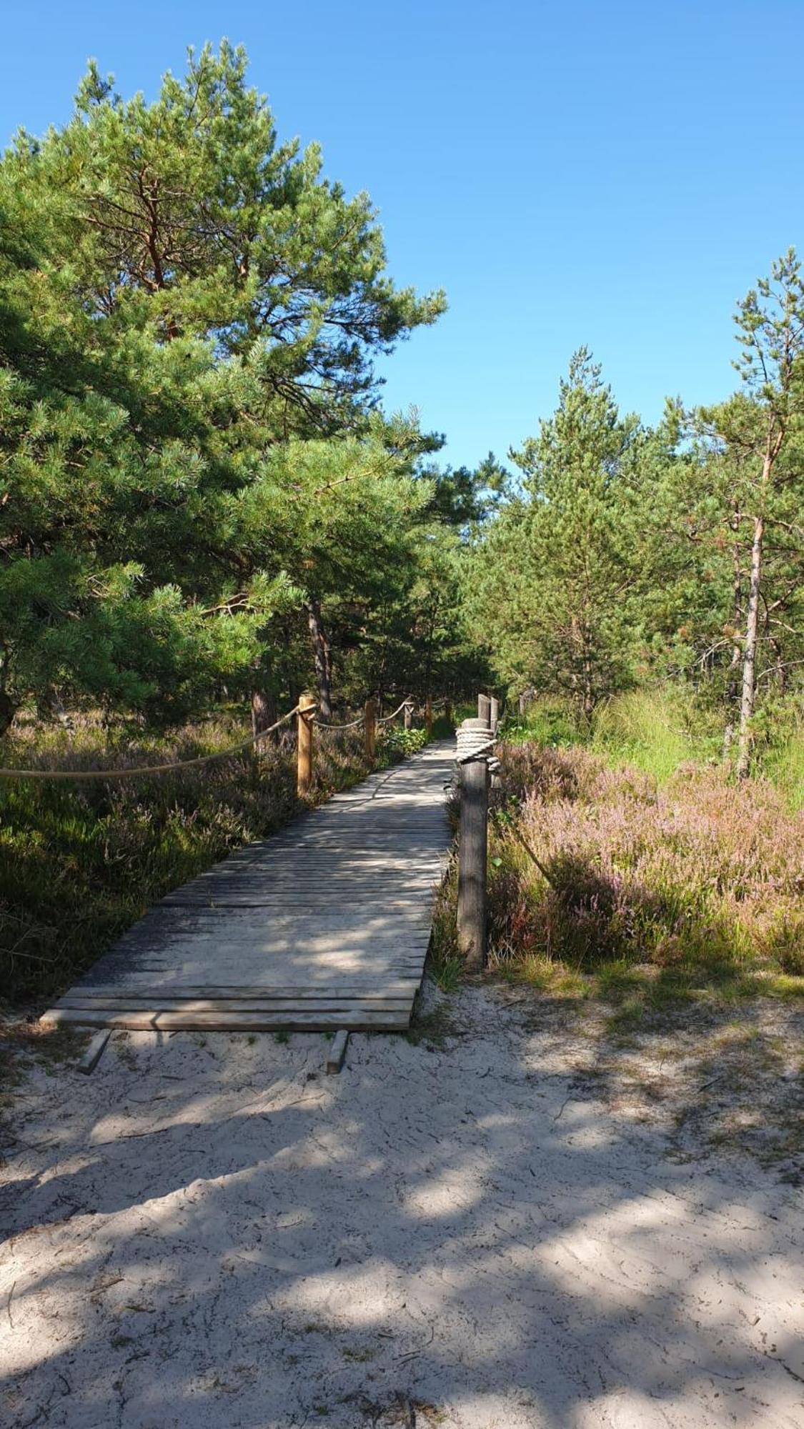 Slowinskie Widoki Domki Flora, Fauna, Noclegi Smoldziński Las Bagian luar foto