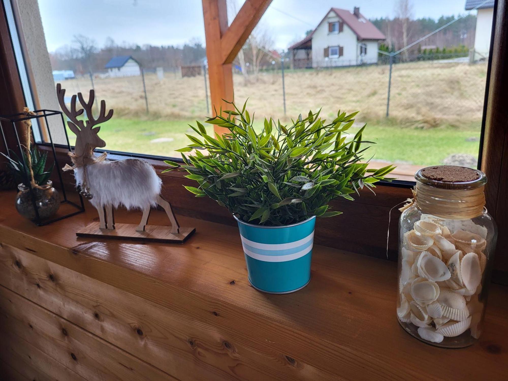 Slowinskie Widoki Domki Flora, Fauna, Noclegi Smoldziński Las Bagian luar foto